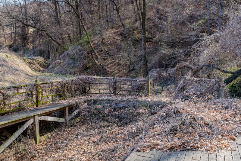 Pool Deck Demolition